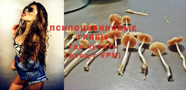 стафф Тавда