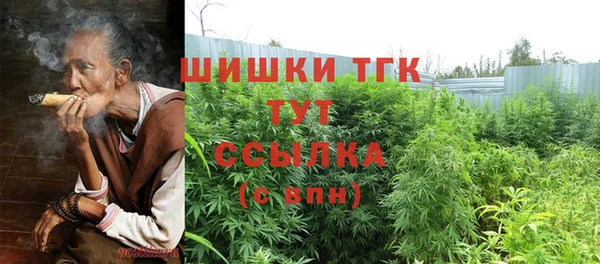стаф Арсеньев