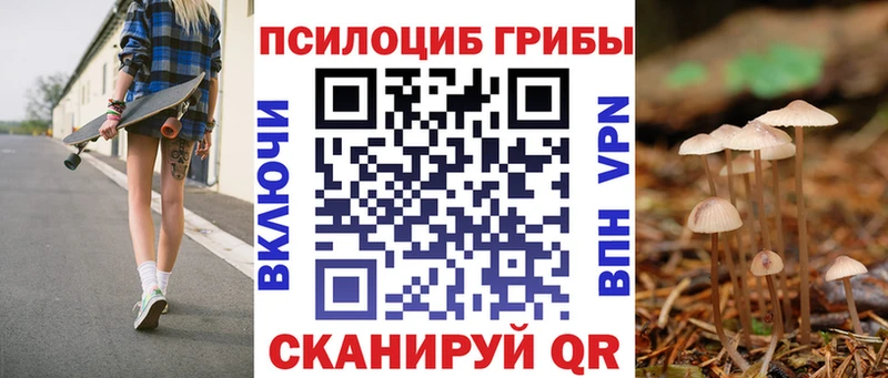 Галлюциногенные грибы Cubensis  Моздок 